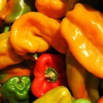 Peperoni: come conservarli, cucinarli e..digerirli!