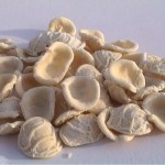Orecchiette pugliesi fatte in casa