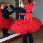 Come realizzare un costume da coccinella