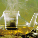 Infusi e tisane per il benessere del nostro corpo