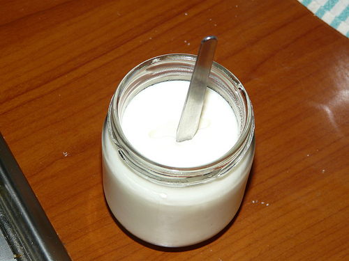 yogurt fatto in casa