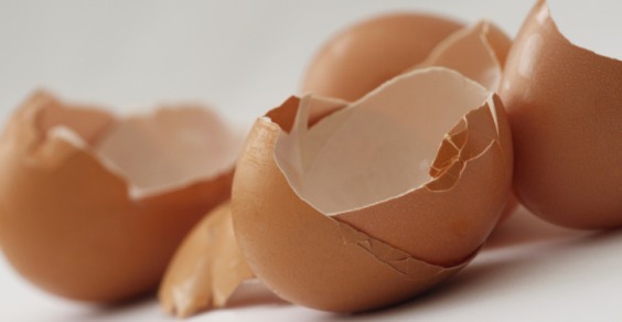 riciclare i gusci d'uova