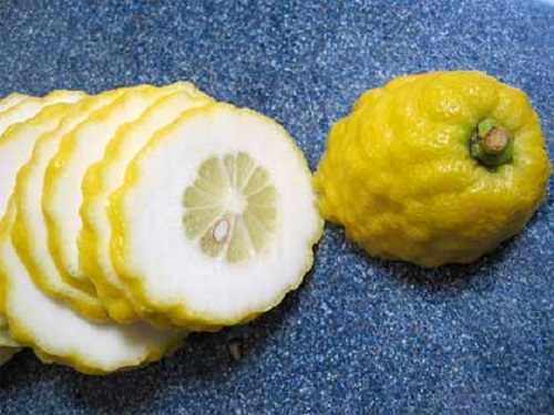 Rimedi naturali con il cedro