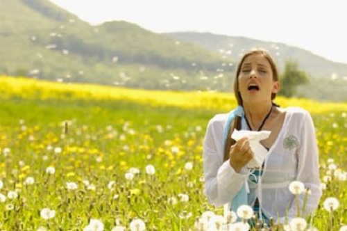 Rimedi naturali contro l'allergia al polline