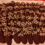 Biscotti viennesi con doppio cioccolato