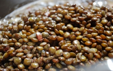 Lenticchie