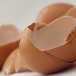 riciclare i gusci d'uova